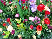 Aufbau Blumenkorso in Sassenheim