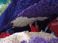 Aufbau Blumenkorso in Sassenheim