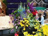 Aufbau Blumenkorso in Sassenheim