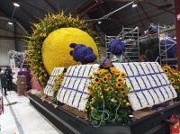 Aufbau Blumenkorso in Sassenheim