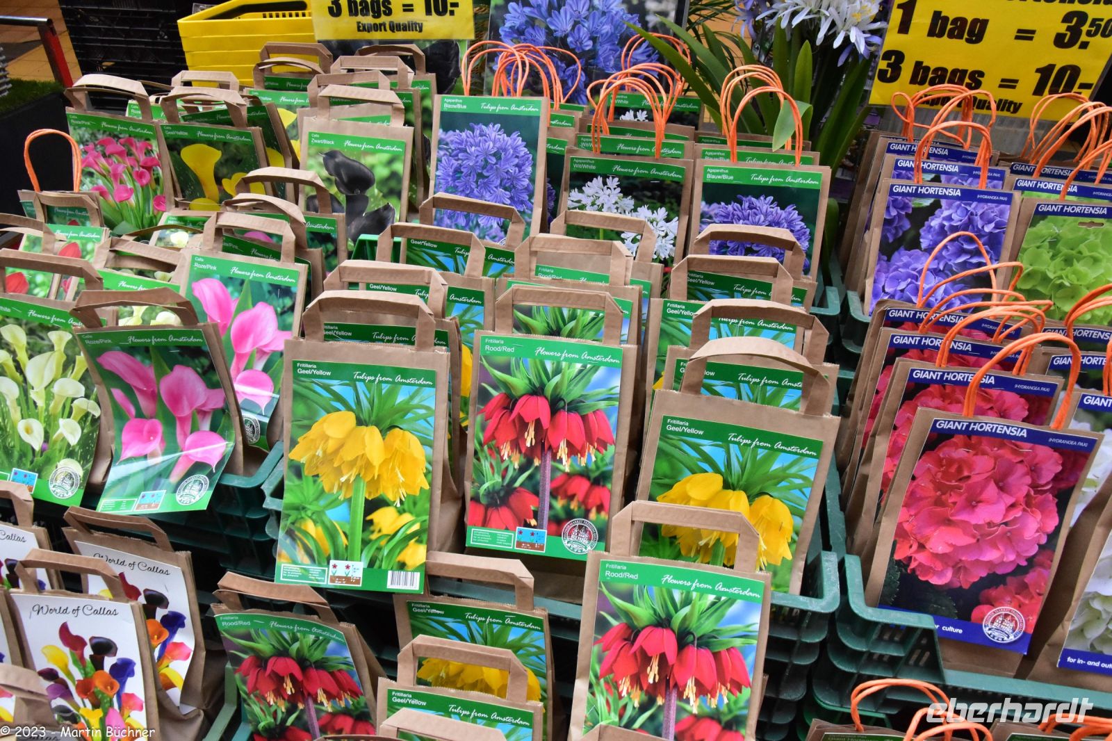 Amsterdam - Blumenmarkt am Singel