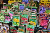 Amsterdam - Blumenmarkt am Singel