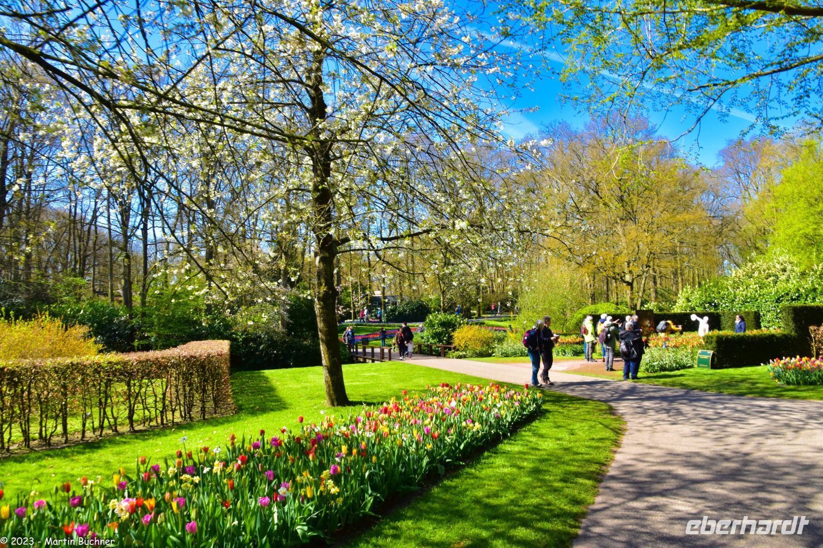 Tulpenblüte in Holland - Keukenhof