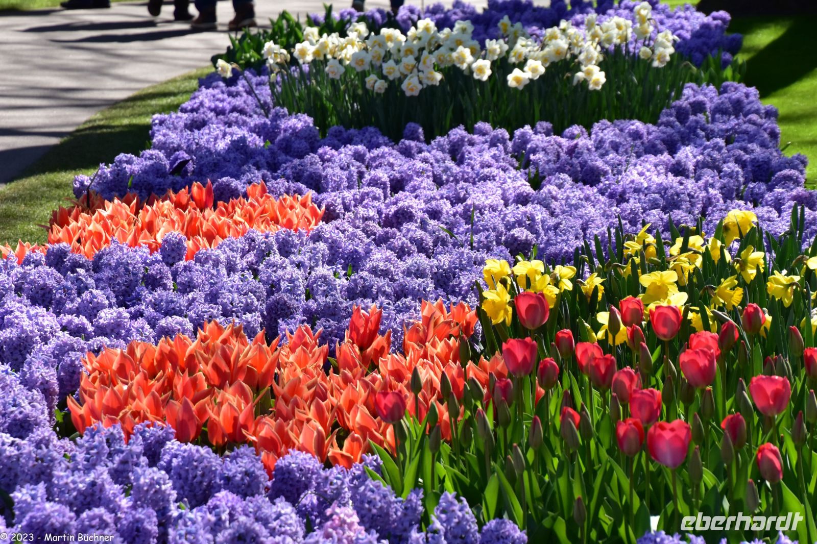 Tulpenblüte im Keukenhof