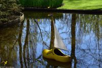 Tulpenblüte im Keukenhof - Holzschuh - Segelboot