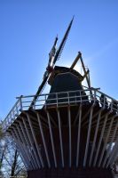 Tulpenblüte im Keukenhof - Windmühle