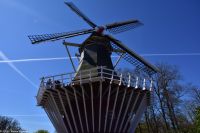 Tulpenblüte im Keukenhof - Windmühle