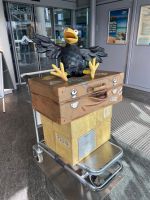 Reise-Rabe Rudi in Erfurt