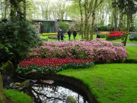 Keukenhof - eine prächtige Blumenschau 