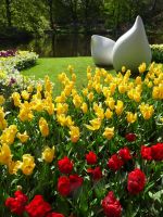 ...Zwiebeln mal anders...