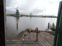 ... werden gewässerte Holzstämme verarbeitet...