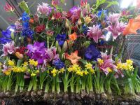 ... Detail Fahrzeugschmuck...