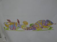 ... Vorlage für das Chamäleon...