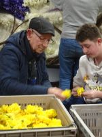 ...konzentrierte Arbeit...