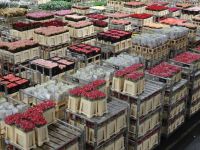 ... in der Markthalle...