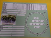 Royal Flora Holland - Beispiel des heutigen Bildschirmbildes zur Auktion