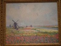 ... Tulpenfelder damals...