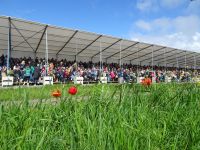 Sassenheim: bei bestem Aprilwetter und direkt gegenüber einer Tribüne - also beste Aussichten...