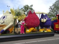 ... Blumenzwiebelwagen...