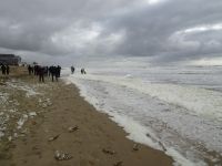 ... Nordseeküste bei Egmond...