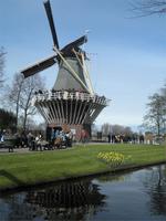 Keukenhof