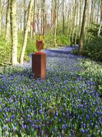 Tag 2 - 3. Blumenmeer im Keukenhof (2)