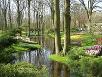 Tag 2 - 3. Blumenmeer im Keukenhof (3)