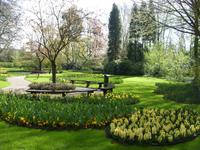 Tag 2 - 3. Blumenmeer im Keukenhof (5)