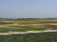 Tag 2 - 5 - Blick von Holländermühle auf Tulpenfelder (1)