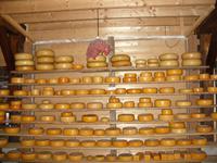 Tag 3 - 9 - Besuch einer Käserei und Klompenmacherei (6)