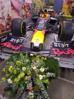 ... Tribut an Verstappen ...