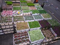 ... breites Angebot ...