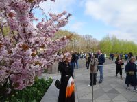 Willkommen im Keukenhof - Gäste aus aller Welt...