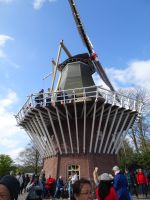 ... typische Windmühle  im Keukenhof ...