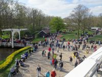 ... Blick von oben ...