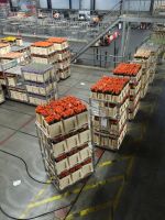 ... erste Schritte zur Automatisierung ...