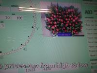 ... Auktionsbildschirm heute ...