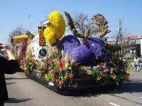 ... die Wagen sind natürlich prächtig geschmückt ...