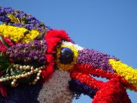 ... der für die Hotelkette typische Tukan ...