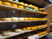 ... mit ganz großer Vielfalt ...