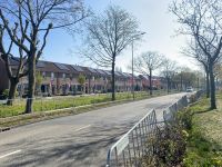 das Dorf Lisse, bereit für den Blumenkorso