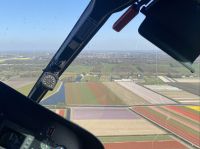 Tulpenfelder von oben