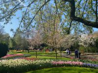 ruhige Ecke des Parks