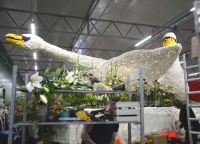 Aufbau Blumencorso 5 &ndash; &copy; Sabine Krug (Eberhardt TRAVEL)