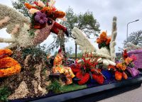 Blumencorso 12 &ndash; &copy; Sabine Krug (Eberhardt TRAVEL)