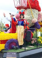 Blumencorso 16 &ndash; &copy; Sabine Krug (Eberhardt TRAVEL)