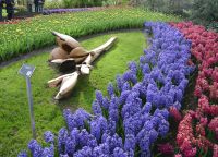 Keukenhof 1 &ndash; &copy; Sabine Krug (Eberhardt TRAVEL)