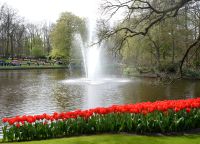 Keukenhof 4 &ndash; &copy; Sabine Krug (Eberhardt TRAVEL)