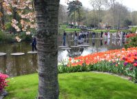 Keukenhof 5 &ndash; &copy; Sabine Krug (Eberhardt TRAVEL)