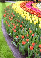 Keukenhof 9 &ndash; &copy; Sabine Krug (Eberhardt TRAVEL)
